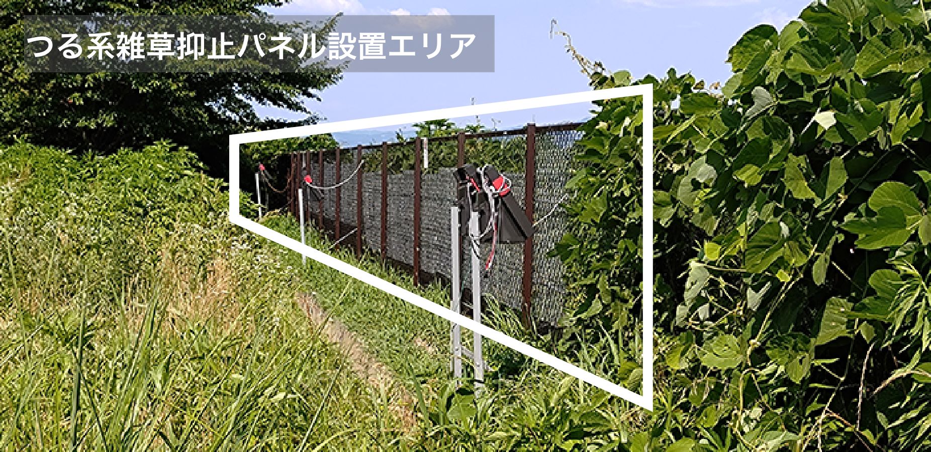つる系雑草抑止パネル設置エリア