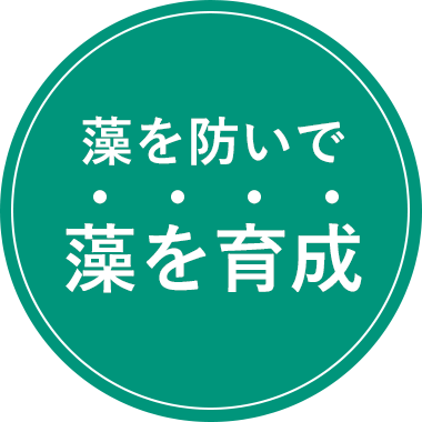 藻を防いで、藻を育成