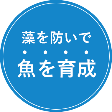 藻を防いで、魚を育成